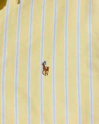 RL Yellow Stripe Button Down Shirt & Brown Logo