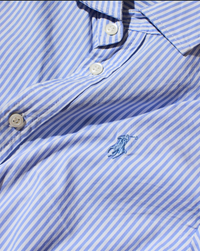 RL Blue & White Striped Light Blue Pony Shirt